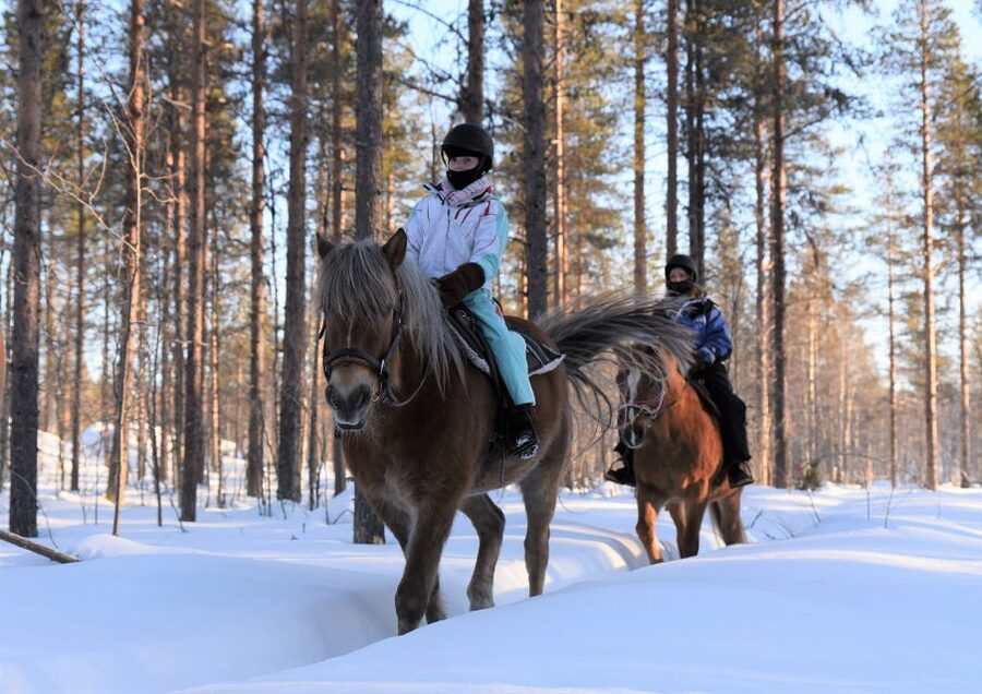 Levi: Snowy Forest Ride and Polar Lights Tours - Key things I’d focus on before you go