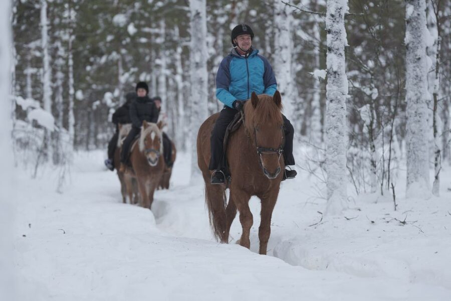 Levi: Snowy Forest Ride and Polar Lights Tours - Entering Lapland on Finnhorses, not by bus window