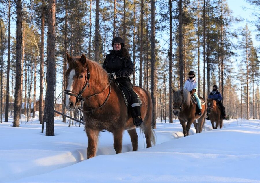 Levi: Snowy Forest Ride and Polar Lights Tours - How the transfer works from Levi Center, and why it matters