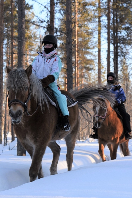 Levi: Snowy Forest Ride and Polar Lights Tours - Who this is best for, and who should rethink it