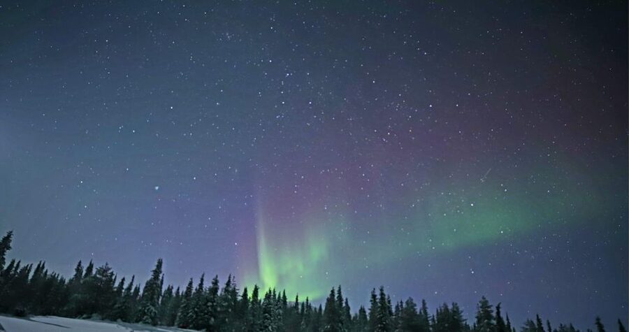 Levi: Twilight Snowmobile Safari & Stargazing Experience - The secret forest stop: photos, quiet, and possible Northern Lights