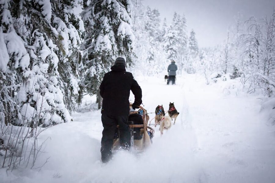 Levi: Winter Highlights Family Day - Key highlights you will notice right away