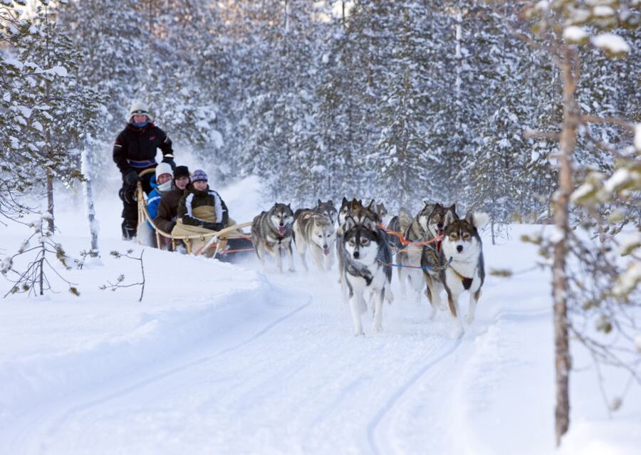 Levi: Winter Highlights Tour with Snowmobiling - Key things to know before you go