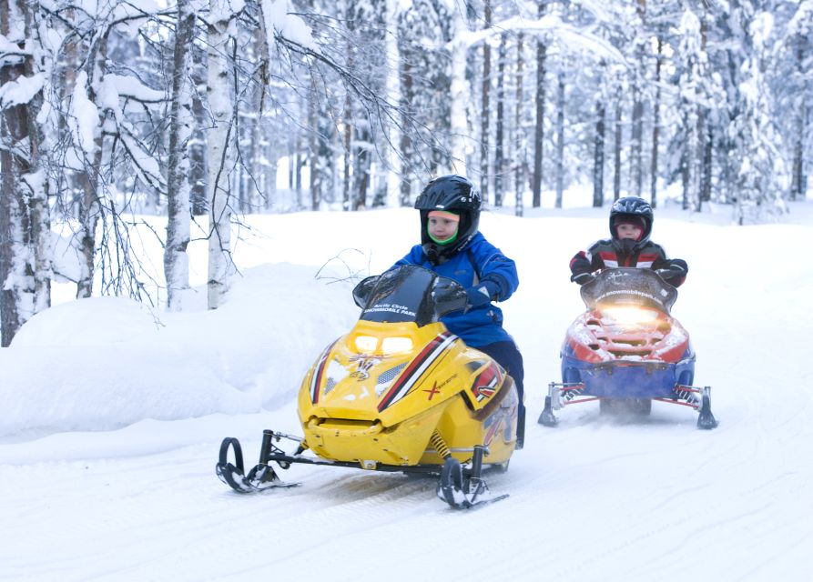 Levi: Winter Highlights Tour with Snowmobiling - First stop: the husky farm and 500-meter sleigh time