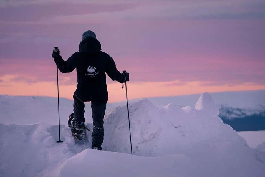 LEVI Winter Snowshoeing in the Wilderness (ALL INCLUDED) - From Levi Into Real Arctic Quiet