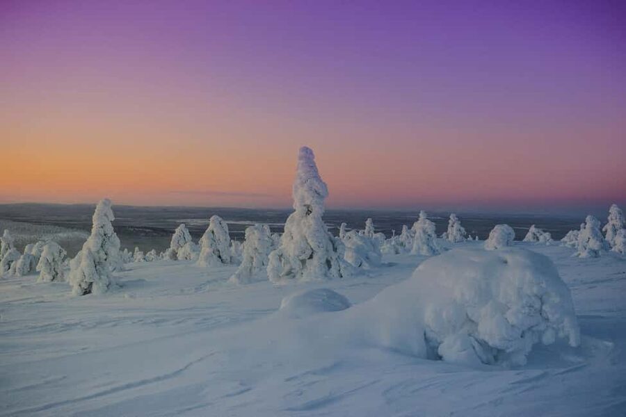 LEVI Winter Snowshoeing in the Wilderness (ALL INCLUDED) - The Bottom Line: Should You Book This Snowshoeing Trip?