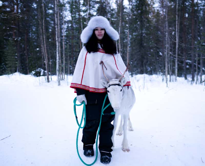 Levi: Winter Wilderness Husky & Reindeer Safari Combo Tour - Key Highlights in Plain English