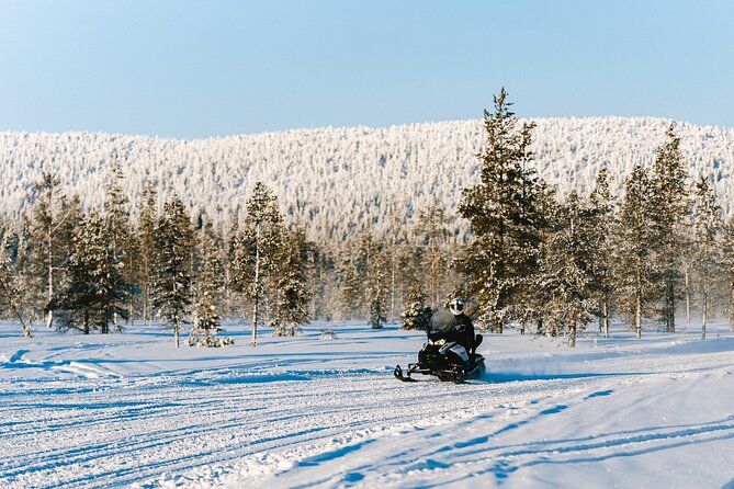 Levifell tour - Reindeer time: what to expect during the safari