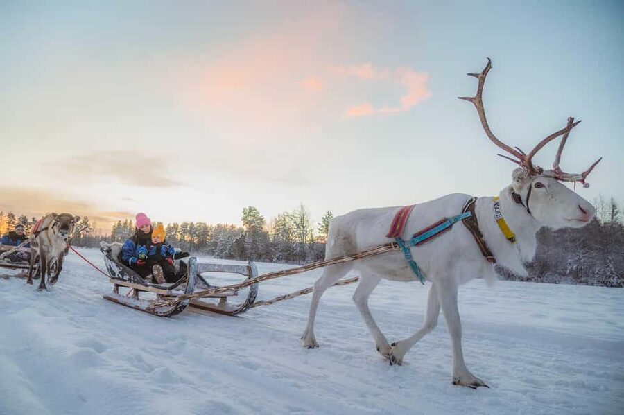 Magical Private Santa Visit, Reindeer Ride & Elf Workshops - Getting there, warm gear, and the timing that matters