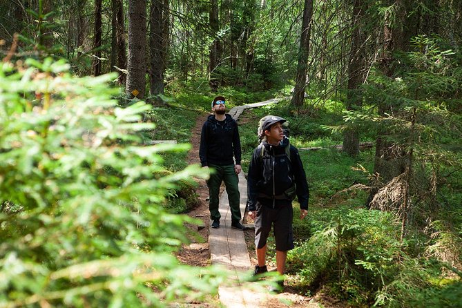 Magical Taiga Forest Hike with Lunch and Transportation - Liesjärvi National Park: the Taiga you came for