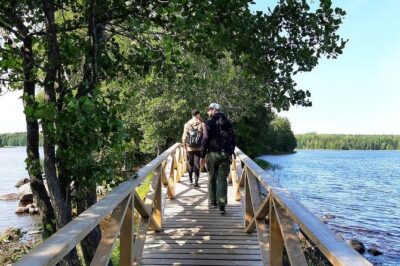 Magical Taiga Forest Hike with Lunch and Transportation