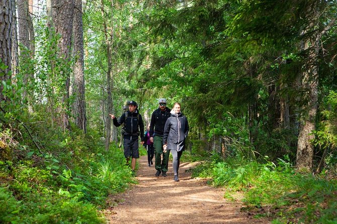 Magical Taiga Forest Hike with Lunch and Transportation - Foraging, mushrooms, and berries: what you learn out there