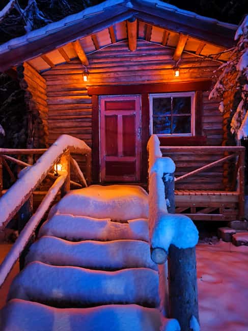 Meet Santa Claus in his magical forest of Sonka Lapland (Rovaniemi) - Following the Illuminated Path Through Fir Trees