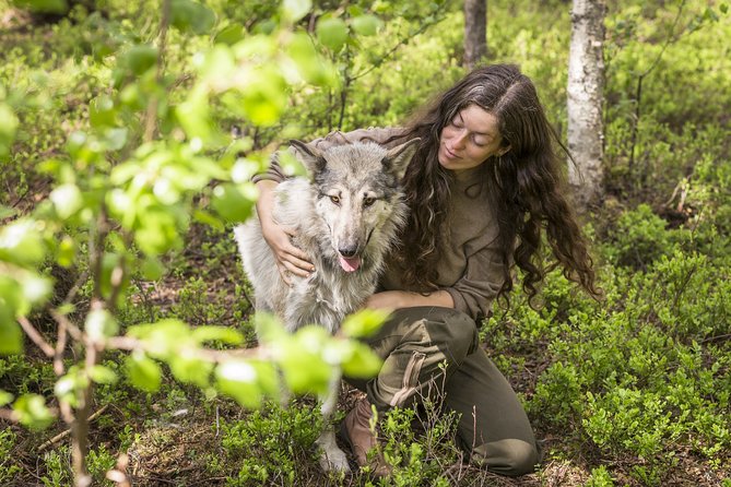 Meet Taivas & the Arctic Wolves - Private Tour - Key highlights worth getting excited about
