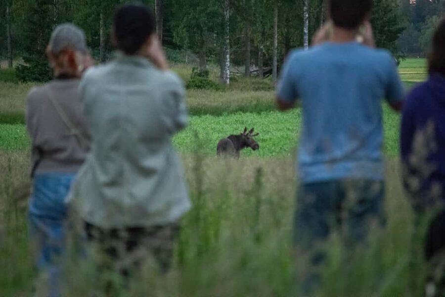 Moose safari with campfire dinner from Helsinki - Campfire Dinner First: Homemade Berry Juice and Finnish Snacks