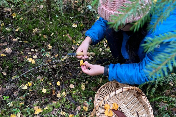 Mushroom Hunting in a National Park - What you get in the box: gear, lunch details, and water rules