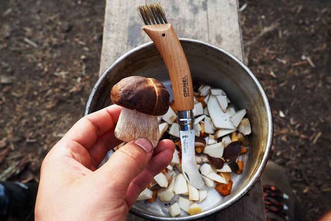 Mushroom Hunting in a National Park - Price and value: is $186.22 worth it?