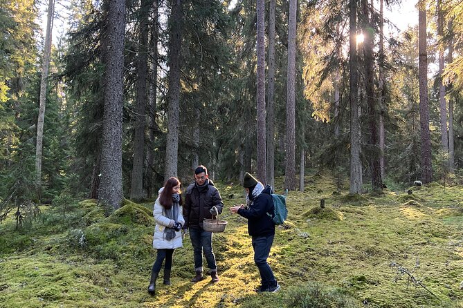 Mushroom Hunting in a National Park - Who should book this mushroom hunting day in Liesjärvi?