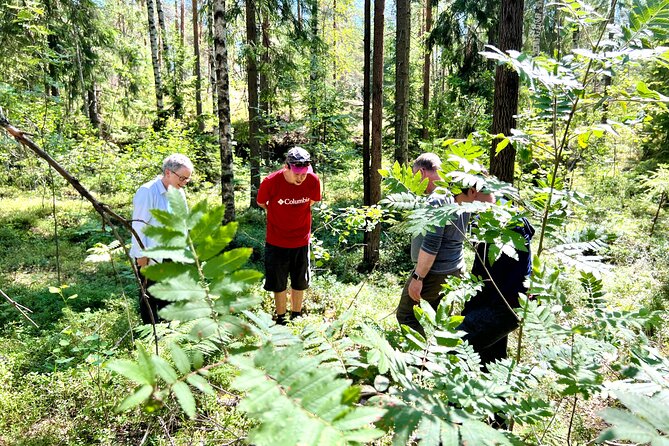 National Park Hike & Finnish Smoke Sauna Experience with Campfire Lunch - Smoke sauna and cold lake dip: the part you remember