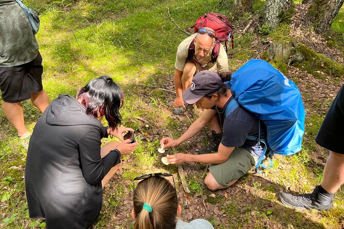 National Park Hike & Finnish Smoke Sauna Experience with Campfire Lunch - Price and logistics: why $199.62 can make sense here