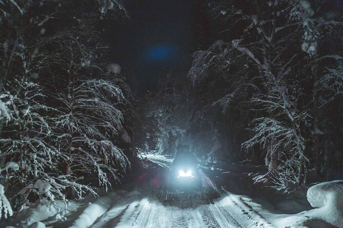 Night Snowmobile Safari, Rovaniemi - Value for $174.42: What You’re Paying For