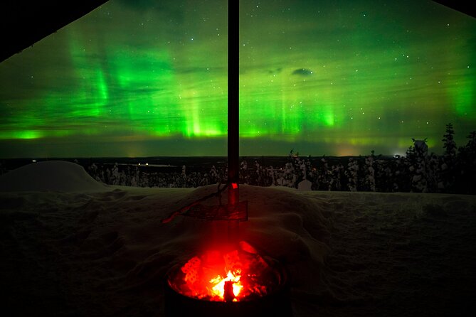 Night Snowshoeing Adventure under the Northern Lights - Rovaniemi After Dark, Built for Real Winter Walking