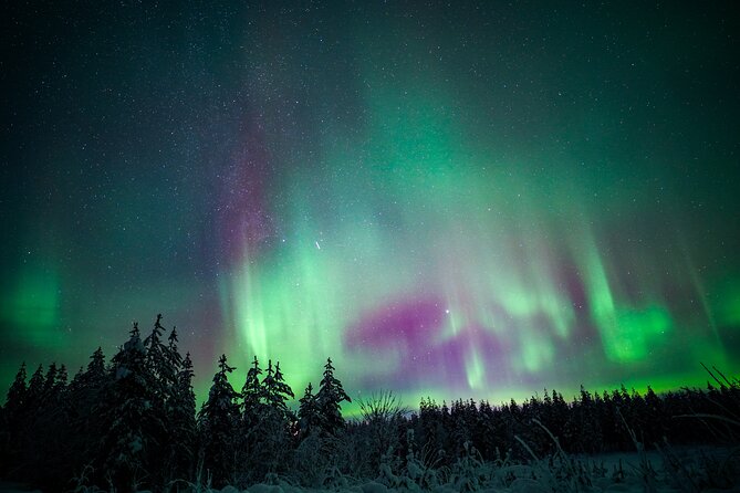 Night Snowshoeing Adventure under the Northern Lights - Why the Price Can Make Sense for a 3-Hour Arctic Night