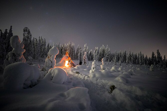 Night Snowshoeing Adventure under the Northern Lights - Who This Tour Is Best For