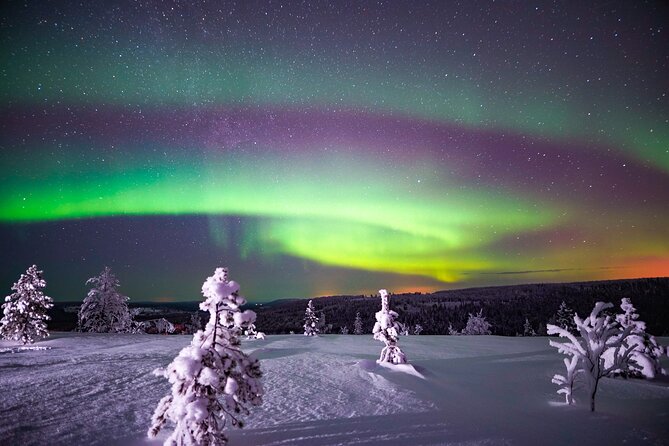 Night Snowshoeing Adventure under the Northern Lights - The 3-Hour Flow: Snowshoeing, Frozen Nature Stops, and a Midway Fire