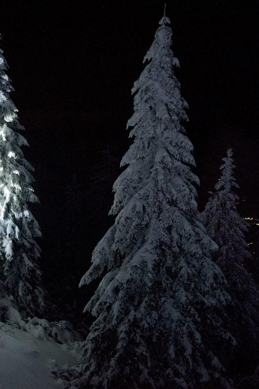 Night Snowshoeing Lapland Experience - Key things that make this night snowshoeing different