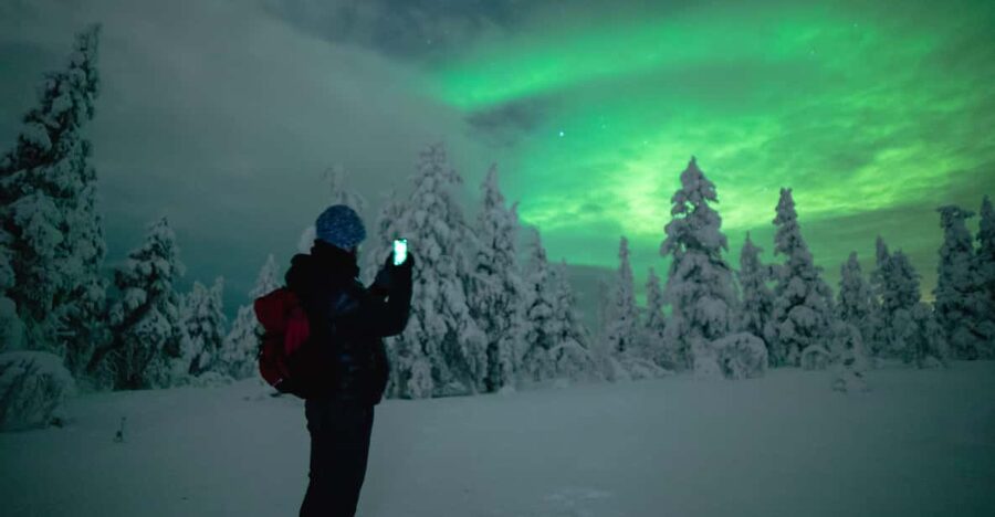 Night Snowshoeing Lapland Experience - Your “white night” snowshoeing plan in Rovaniemi