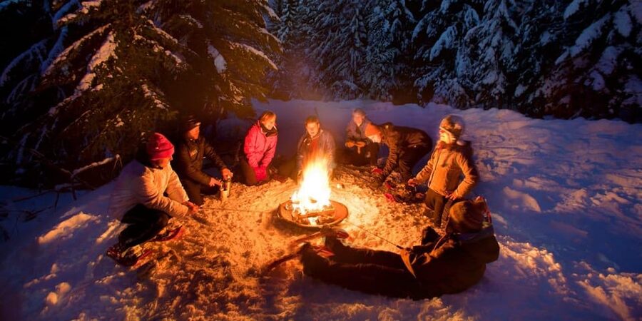 Night Snowshoeing Lapland Experience - Price and value: is $176 per person worth it?