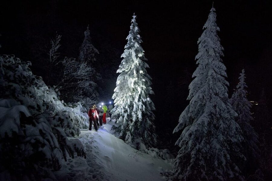 Night Snowshoeing Lapland Experience - What you’ll do during the 3 hours (and why each part matters)