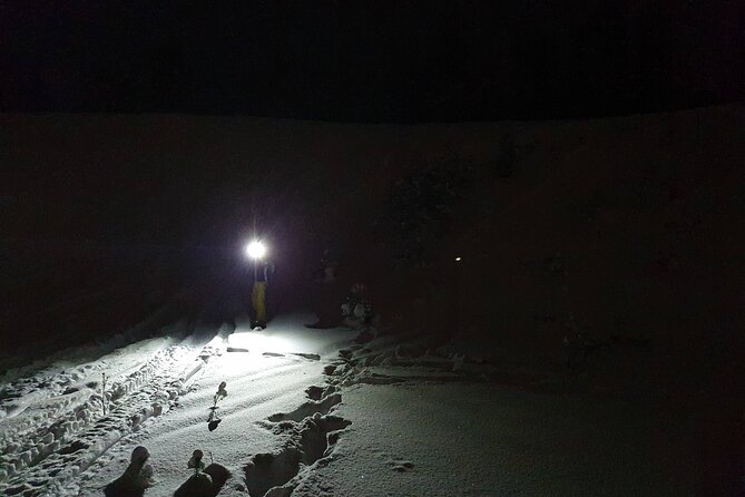 Nocturnal Skiing: Experience the Arctic's Magic - Night skiing near Lake Norvajärvi, what it really feels like