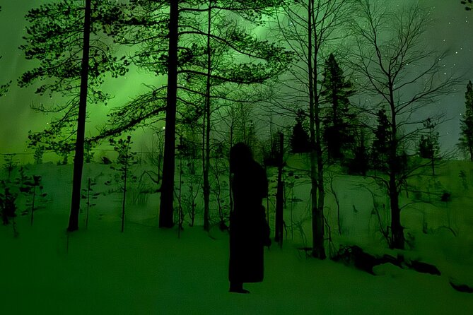 Northern Lights Adventure in the Wild with Campfire Treats - Aurora watching on a frozen lake, reindeer hides, and comfort tricks
