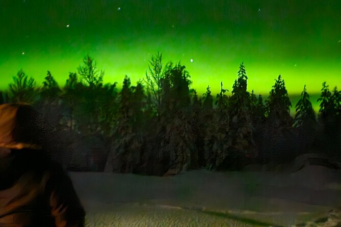 Northern Lights Auroras from Kemi-Tornio with Pickup - Group Size, English, And The Logistics That Keep Things Smooth