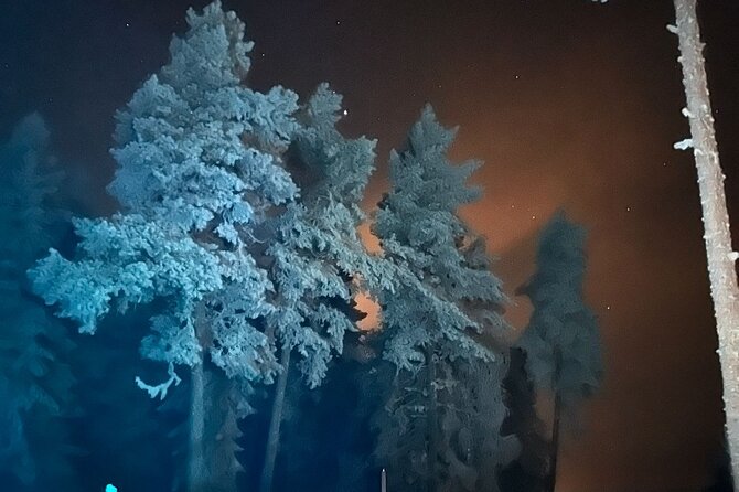 Northern Lights dinner in a Glass Igloo - The frozen-lake fun after dinner: snowmobiles and what to expect