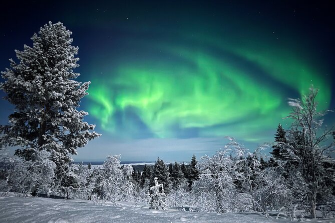 Northern Lights Holiday in Finland - Xwander Nordic apartments, gear, and the small-group comfort factor