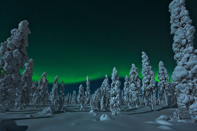 Northern Lights Hunt from Rovaniemi with Folk Tales and Snacks over Campfire - How the Lake Campfire Moment Works: Tent Time and Hot Berry Tea