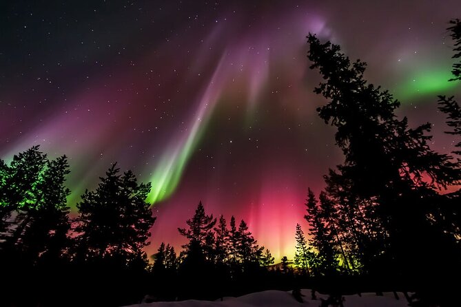 Northern Lights Hunt from Rovaniemi with Folk Tales and Snacks over Campfire - When the Sky Turns Cloudy: How This Tour Still Works