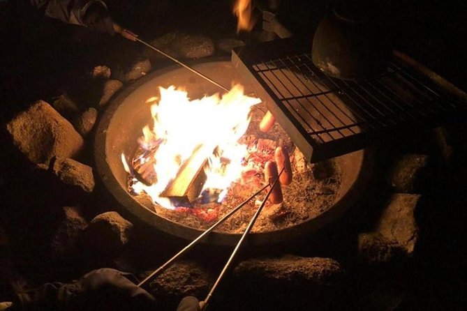 Northern Lights Hunt Including Snacks on Campfire from Levi - Stop in Levi: what your evening is likely to feel like