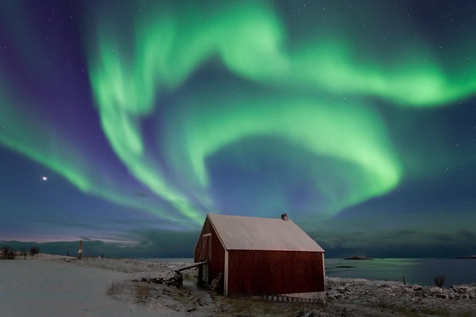 Northern Lights Hunt Including Snacks on Campfire from Rovaniemi - Price and Value: Is $144.83 Fair for a 3-Hour Night Out?