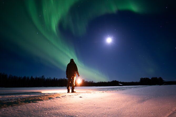Northern Lights Hunting Expedition in Ranua, Lapland - Price, timing, and who should book this aurora hunt