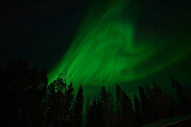 Northern Lights Hunting in Lappish old cottage - Small-group feel with a big safety net: comfort, family flow, and how the night stays fun