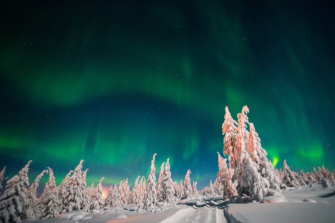 Northern Lights Hunting of Rovaniemi - Photo Help From Daria and Anna’s Team: Get Better Results Faster