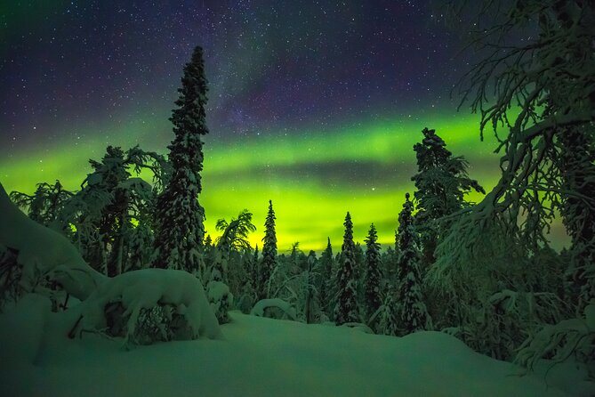 Northern Lights Hunting of Rovaniemi - Group Size, Comfort, and Who This Tour Fits Best
