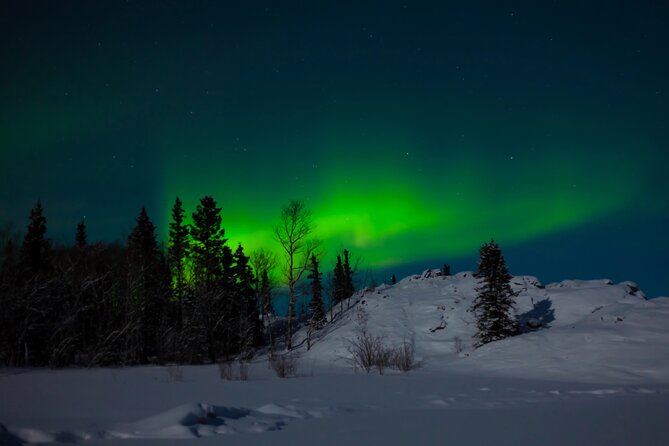 Northern Lights Hunting of Rovaniemi - Price and What You Really Get for $89.36