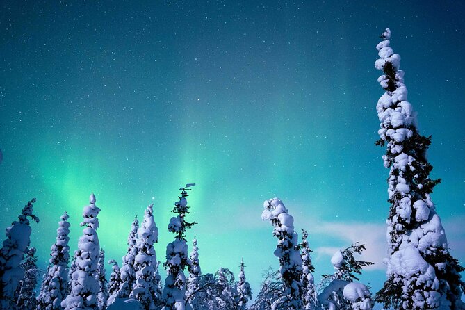 Northern Lights Hunting Photography Tour in Levi - Photography support: headlamps, camera coaching, and edited results