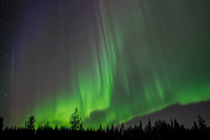 Northern Lights Hunting with a photographer (Only small groups) - Pickup, timing, and what 5.5 hours really feels like