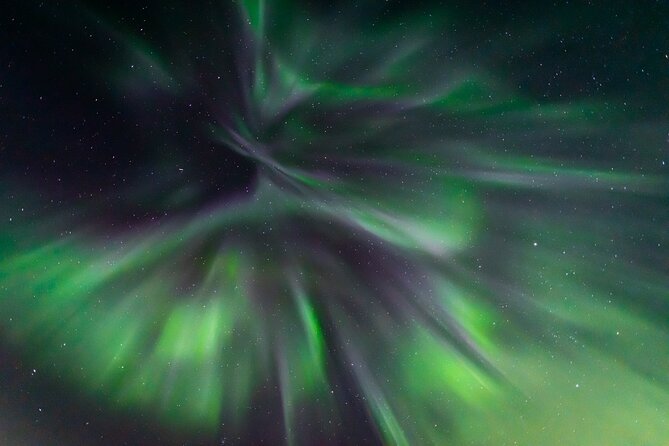 Northern Lights Hunting with a photographer (Only small groups) - Gear that keeps you outside long enough to see something